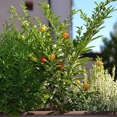 B&B In Centro Charme 4*