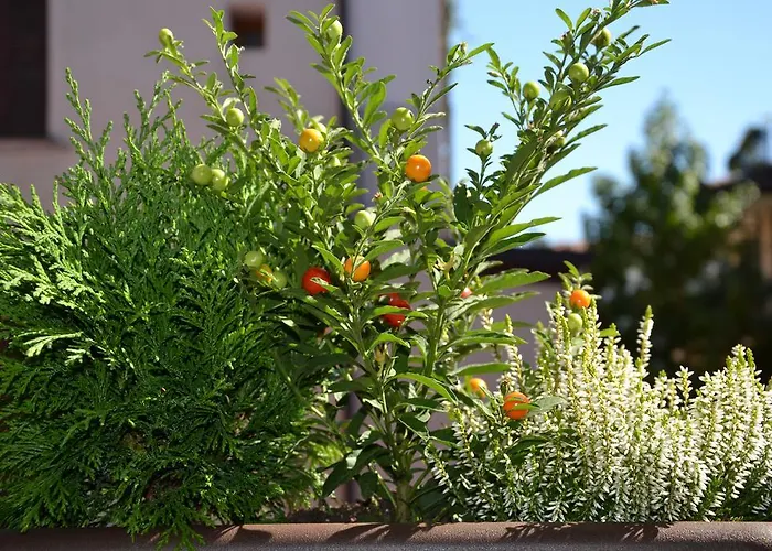 B&B In Centro Charme 4*