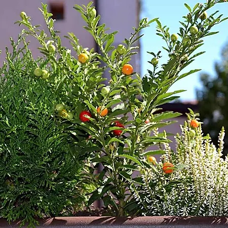 فندق مبيت وإفطار In Centro Charme بيرغامو