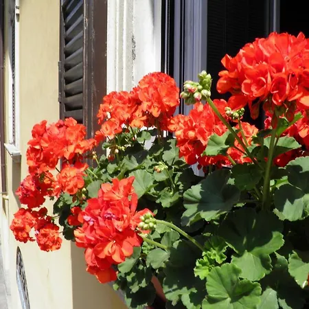 Bed and breakfast In Centro Charme
