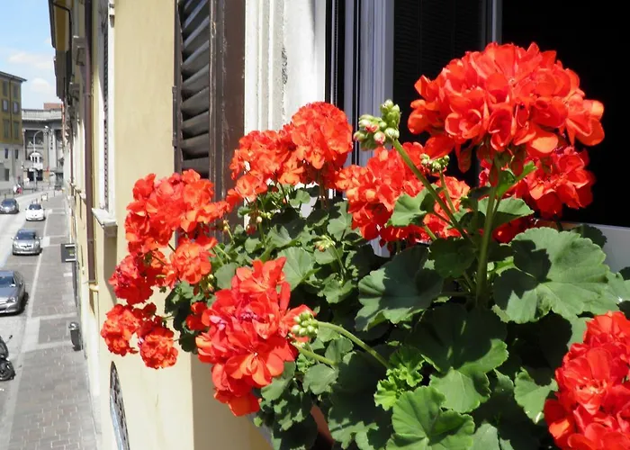 Bed & Breakfast In Centro Charme